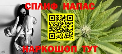 индика Гай