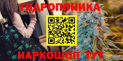 индика Гай