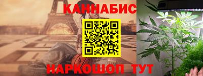 индика Гай