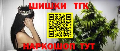индика Гай