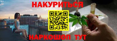 индика Гай