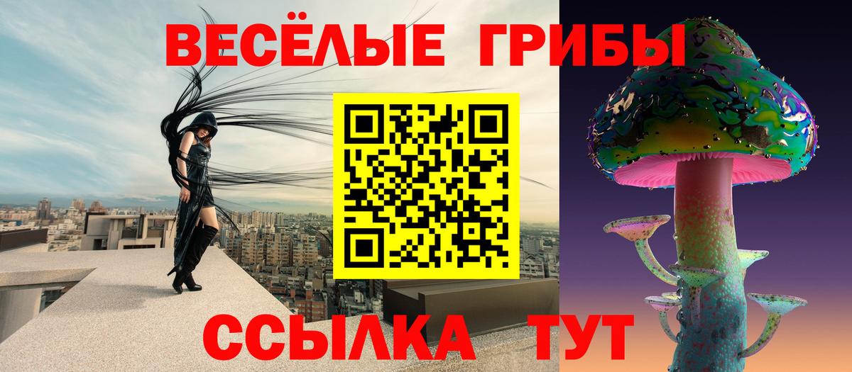 Псилоцибиновые грибы Cubensis  Вход с VPN  Углич 