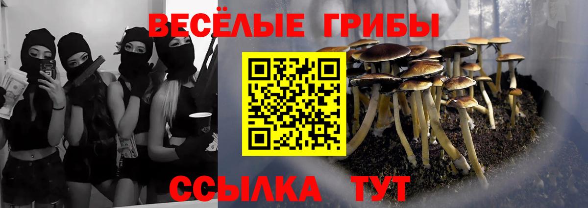 Псилоцибиновые грибы Magic Shrooms Углич